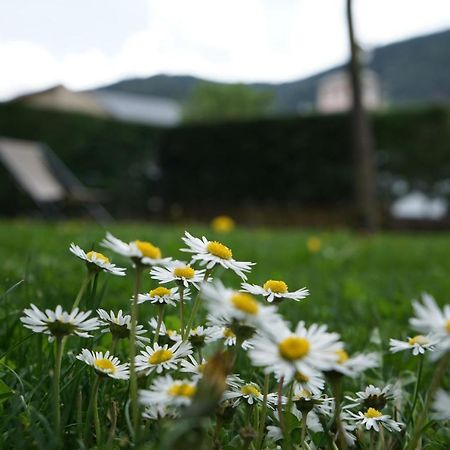 Apartamento Con Jardin En La Cerdanya Err Dış mekan fotoğraf
