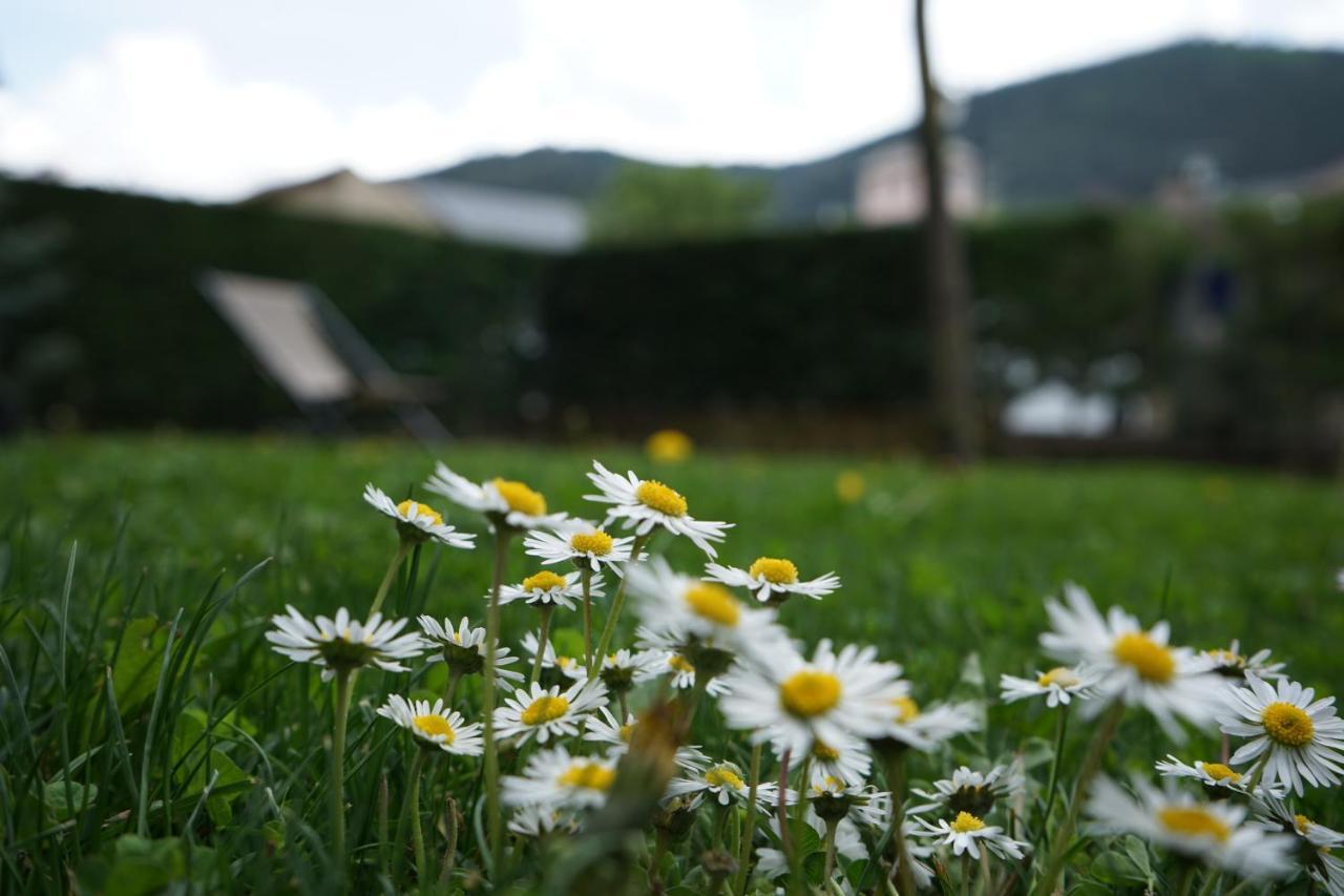Apartamento Con Jardin En La Cerdanya Err Dış mekan fotoğraf