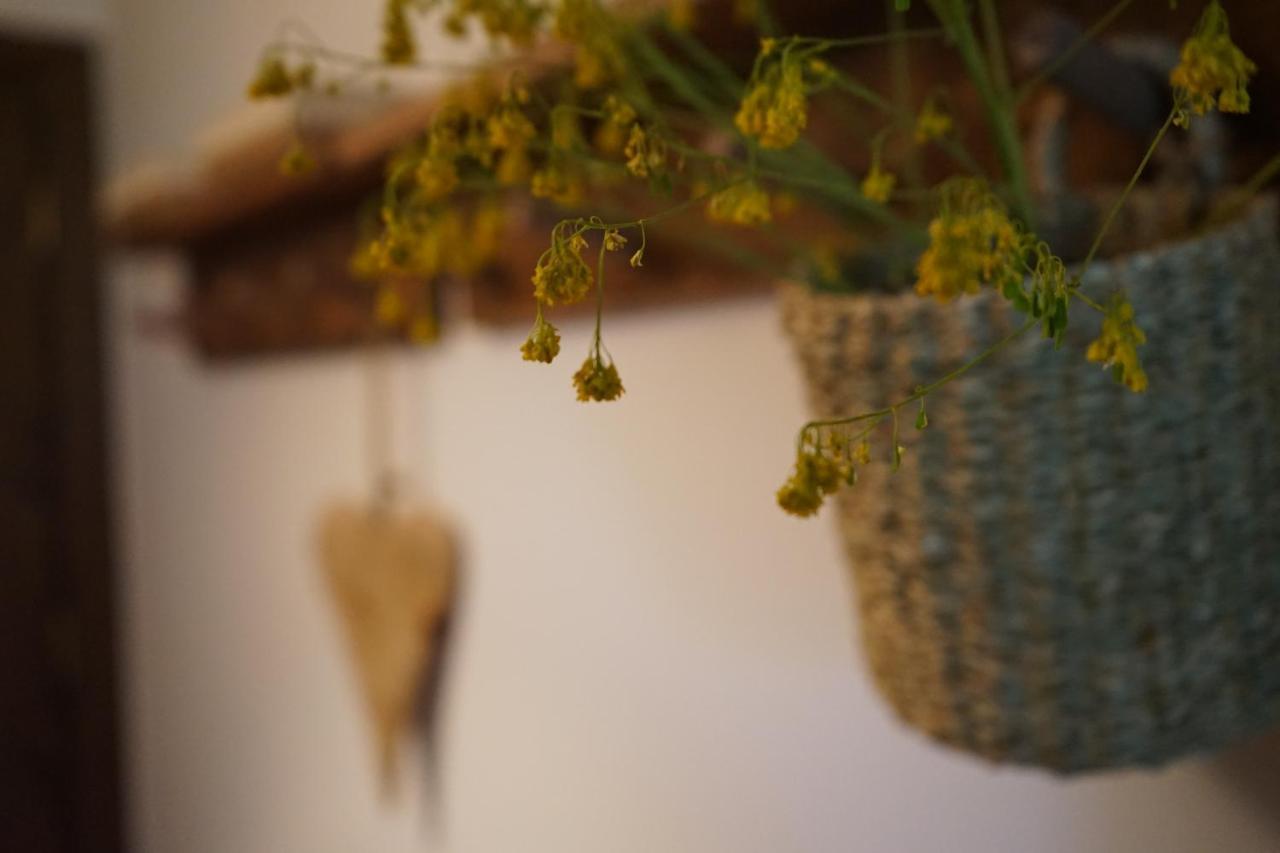 Apartamento Con Jardin En La Cerdanya Err Dış mekan fotoğraf